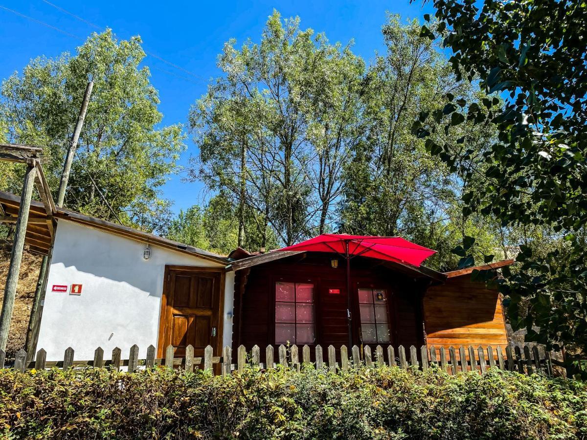 Bungalow "A Choupana" - Quinta Da Carvoica - Vale Pradinhos Vale de Pradinhos Esterno foto