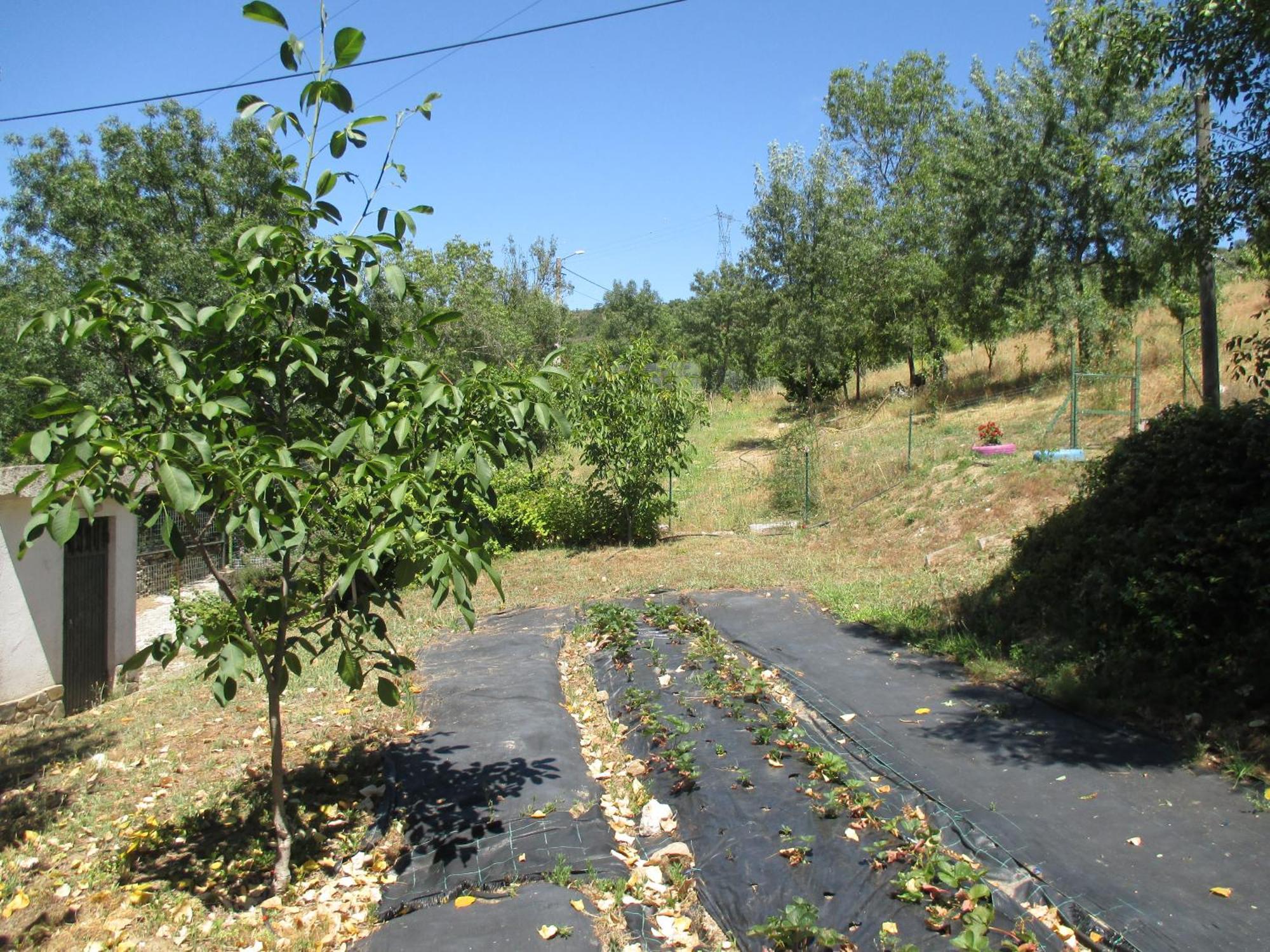Bungalow "A Choupana" - Quinta Da Carvoica - Vale Pradinhos Vale de Pradinhos Esterno foto