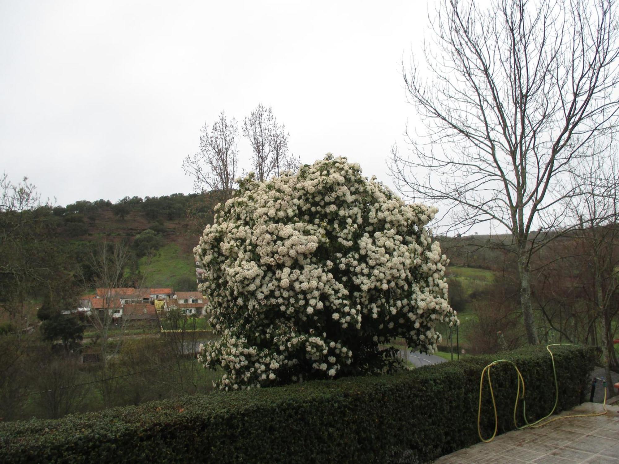 Bungalow "A Choupana" - Quinta Da Carvoica - Vale Pradinhos Vale de Pradinhos Esterno foto