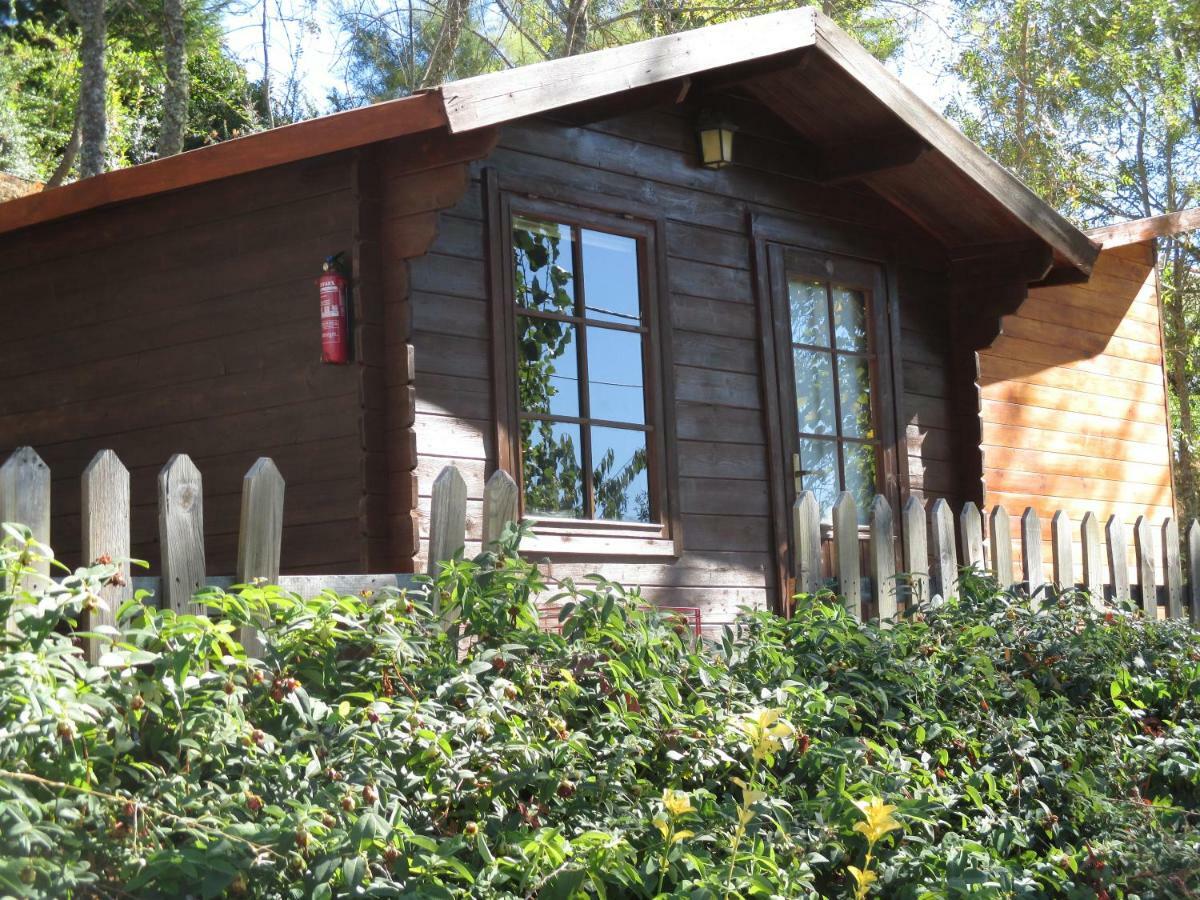 Bungalow "A Choupana" - Quinta Da Carvoica - Vale Pradinhos Vale de Pradinhos Esterno foto
